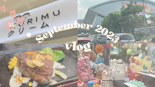 September 2023 ✨️  Mini Birthday Vlog🎉  Birthday Celebration💕 [upl. by Kori]