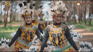 Tari Pabat Pibui asli Kalimantan [upl. by Simson]