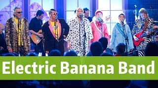 Electric Banana Band  Håll Himalaya rent  BingoLotto 104 2016 [upl. by Atekihc]