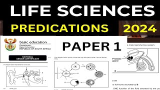 2024 LIFE SCIENCES EXAM PREDICTION2024 PAPER 1 GRADE 12 THUNDEREDUC BY MSAIDI [upl. by Hanoy]