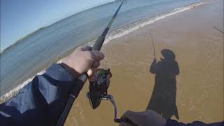 Squid Beach Fishing  Cleeland Bight Phillip Island Victoria [upl. by Fina]