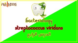 الدرس الرابع Streptococcus viridians [upl. by Eelyab]