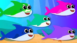 Baby Shark Doo Doo Song  Shark Song  Nursery Rhymes amp Kids Songs babyshark [upl. by Nawiat]