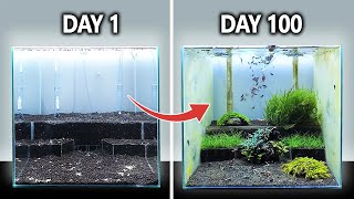 The Shrimp Wonderland Shrimp Tank Setup for Caridina Step By Step with Mini Aquascape [upl. by Daisey]