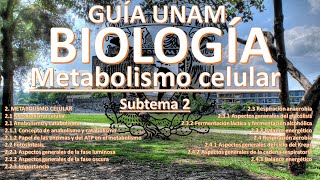 GUÍA BIOLOGÍA EXAMEN UNAM 2024 SUBTEMA 2 COMPLETO METABOLISMO CELULAR [upl. by Anaiad]