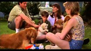 The Retrievers  Trailer [upl. by Sharla]