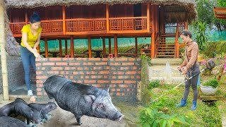 Building New Pig Barn For The Newly Born Piglets  Daily Life In The Village My Farm  Đào [upl. by Hadeehsar]