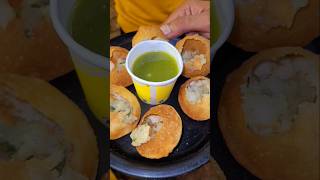 Delicious Panipuri 😋  RIB Tour Vlog panipuri tastyfood ragdapuri fastfood [upl. by Annunciata]