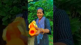 Karishma ne chalai patakhe wali banduk🔫💥 comedy funny love diwali shortfeed trending [upl. by Neerak336]