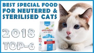 Best 🔥 Special food for neutered amp sterilised cats 😸 review 🔥 TOP 6 [upl. by Malonis]