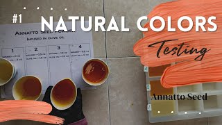 Natural colorant testing with cold processed soap Testing annatto seed [upl. by Hu]