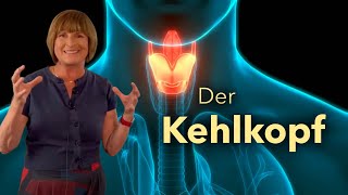 Der Kehlkopf Lage Aufbau Phonation [upl. by Cheng]