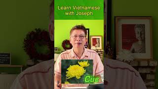 Learn to pronounce Vietnamese name CUC [upl. by Drannel723]