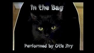 quotIn The Bagquot by anonymous  The Otis Jiry Channel [upl. by Cohlier]