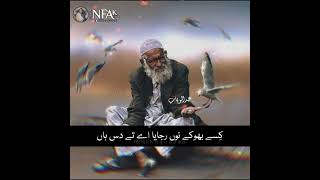 Othy Amlan Dy Hony Ny Nabery اوتھے عملاں دے ہونے نے نبیڑے  UNFAK Status Video  UNFAK Qawali [upl. by Sedaiuqlem]