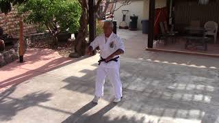 Sanchin kata Isshinryū karate Arcenio Advincula [upl. by Twitt]