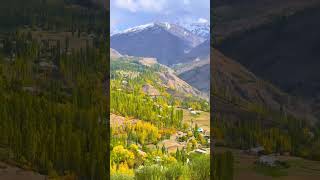 Khubsurat shahar Chitral for you video 💯😍🔥 [upl. by Gollin]