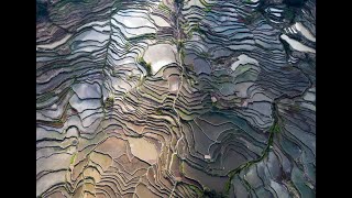 LIVE Exploring Yuanyang rice terraces a UNESCO World Heritage site [upl. by Norris]