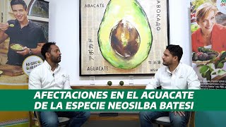 Conexión APEAM 3 Importancia de la sanidad en el huerto y su relación con las plagas 🐛🥑 [upl. by Aloin]