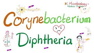 Corynebacterium Diphtheriae Characteristics  Microbiology 🧫 amp Infectious Diseases [upl. by Brott]