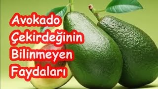 Avokado Çekirdeğinin Bilinmeyen Faydaları [upl. by Birdt660]