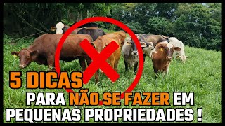 5 dicas para NÃO SE FAZER em PEQUENAS PROPRIEDADES [upl. by Odraude832]