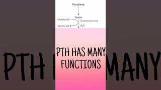 Phenylalanine catabolism mnemonic  Phenylalanine catabolism outline made easy biochemistryshorts [upl. by Alakcim24]