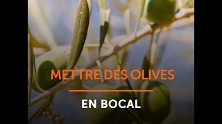 Mettre des olives en bocal [upl. by Nay]