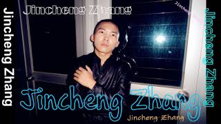 Jincheng Zhang  Wool Background Music Instrumental Version Official Audio [upl. by Lasiaf]