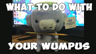 what to do with your wumpus [upl. by Ilatfen]