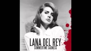 Lana Del Rey  Summertime Sadness  MK Feel It In The Air Remix [upl. by Peria]