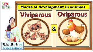 Viviparous Vs Oviparous Animals [upl. by Esorrebma]