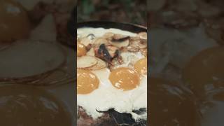 Plancha Eggs Cooking In The Wild 🍳 [upl. by Leirua]