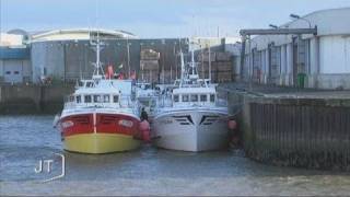 La pêche à la coquille SaintJacques Vendée [upl. by Ttegdirb255]