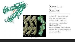 CFTR Protein Final Presentation [upl. by Donelu648]