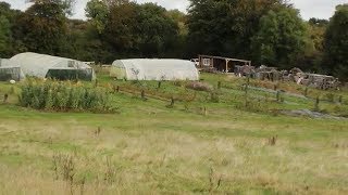 Vergermaraîcher Ferme de Céline Duloir [upl. by Yelsnit519]