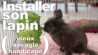 Installer son lapin vieuxaveuglehandicapé [upl. by Bum]