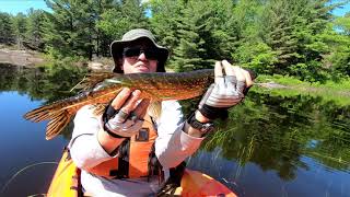 Fishing for Northern Pike in Spider Lake Massasauga Provincial Park [upl. by Short170]