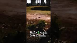 Itna bda saap hostel mai😲😲 Snake  hostel viralshort snake supportmychannel [upl. by Holleran]