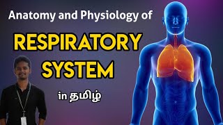 5 Anatomy and Physiology of Respiratory System in Tamil [upl. by Nitsugua130]