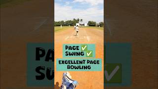 170K views thank you cricket goprocricket yt ytshorts trendingshorts trending [upl. by Muldon]