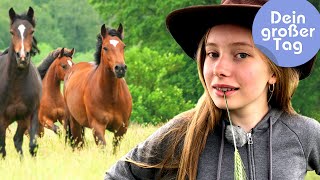 Pferde Rinder Gaucho  Linn beim Westernreiten  Dein großer Tag  SWR Plus [upl. by Nedlog]