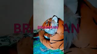 Brahman Status  Brahman song  Brahman song  shorts brahmanstatus [upl. by Attennhoj]