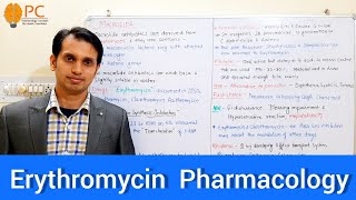 Pharmacology of Erythromycin  Pharmacology of Macrolide Antibiotics [upl. by Anya503]