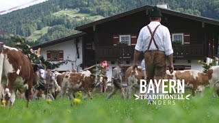 Bayern Almabtrieb Berchtesgaden Königssee [upl. by Jalbert668]