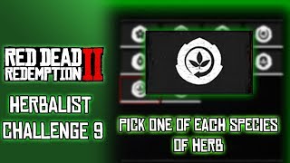 RDR2 Herbalist Challenge 9 Pick One of Each Species of Herb [upl. by Fauver43]