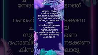 habibi drip song Malayalam lyrics malayalamsonglyrics youtubeshorts songlyrics trending [upl. by Osrick]