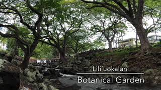 Liliuokalani Botanical Garden [upl. by Luelle]