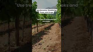 Agroforestry Combining Trees and Crops [upl. by Eolcin]