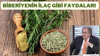 TAZE BİBERİYENİN FAYDALARI NELERDİRBİBERİYE TÜKETİMİ VE KULLANIMIBİBERİYENİN ZARARLARI NELERDİR [upl. by Nodnarg]